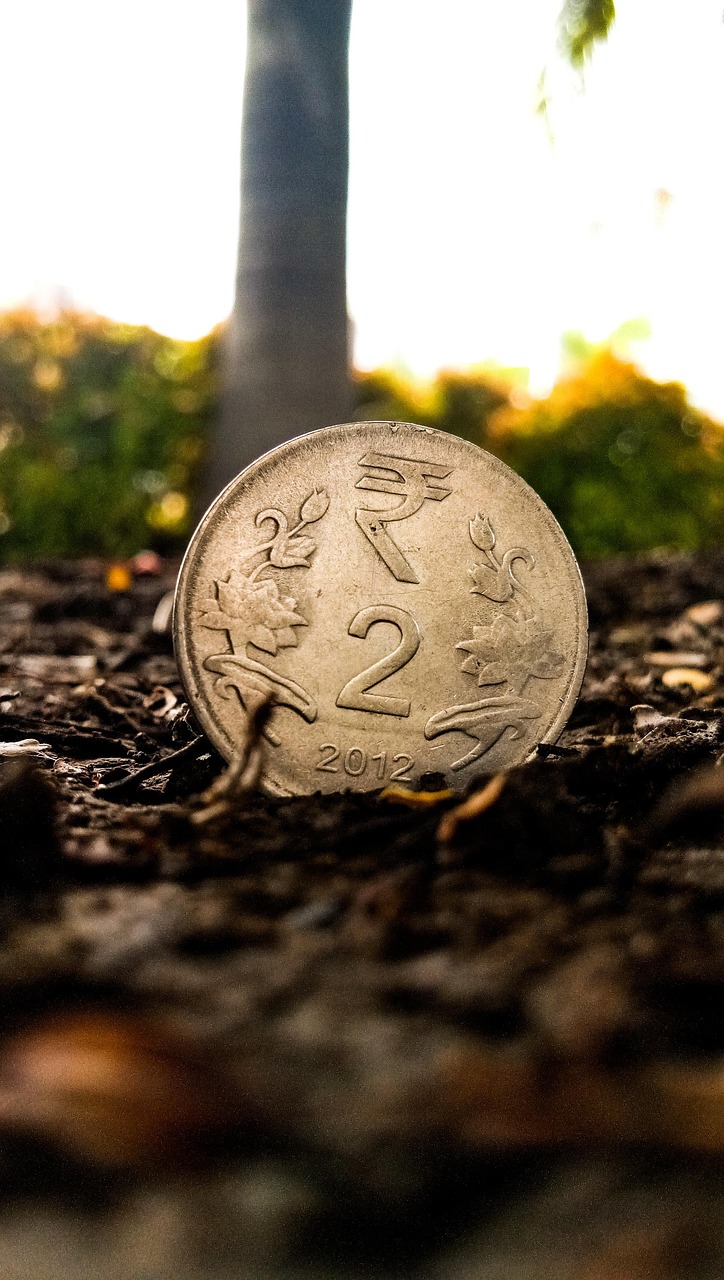 梦的河流 第3页