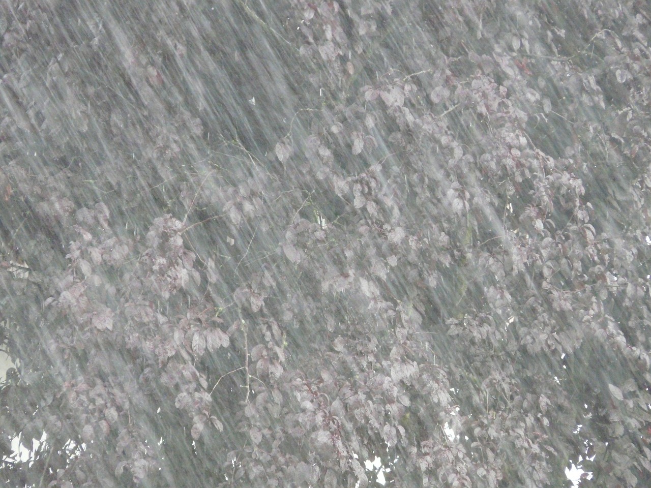 辽阳大暴雨最新情况报告，暴雨进展与影响分析