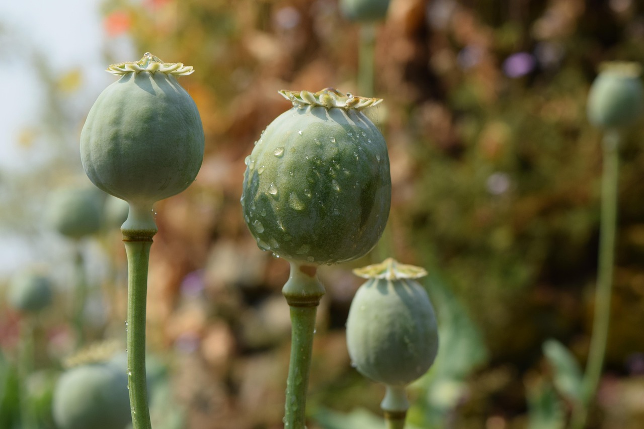广东最新资讯概览，最新动态一网打尽