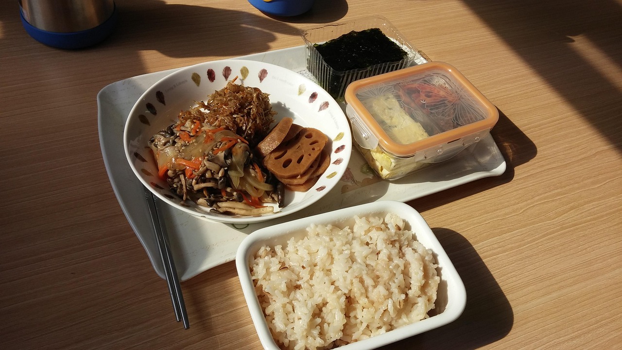 最新便携餐盒，革新餐饮体验与环保生活的完美结合
