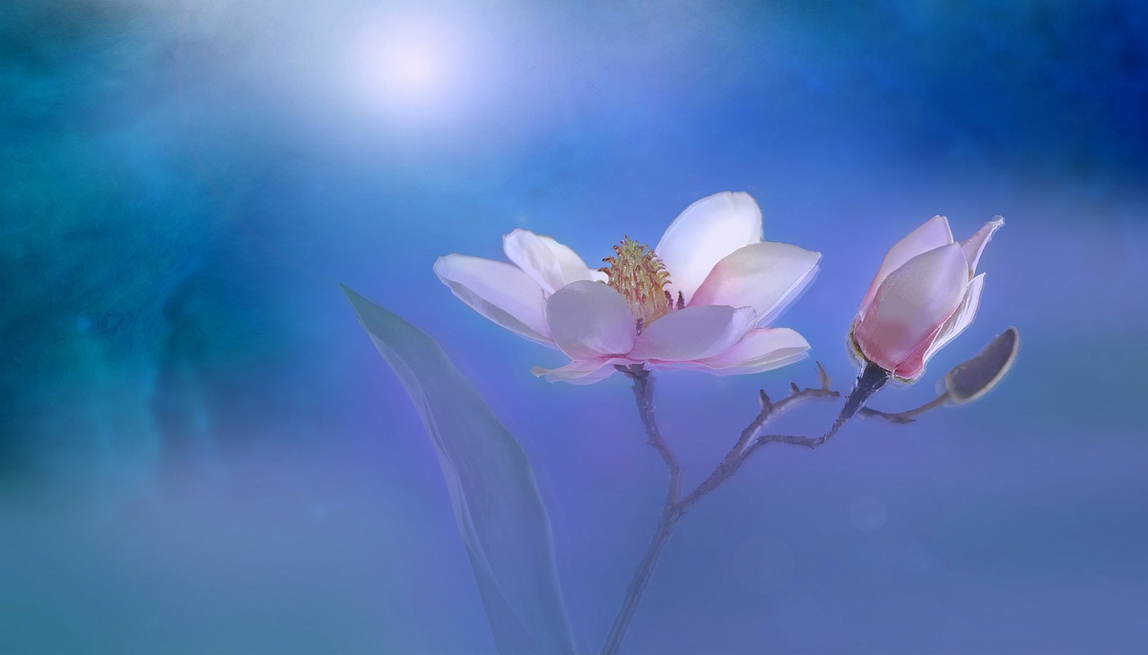 春江花月夜电影，诗意与影像的完美融合