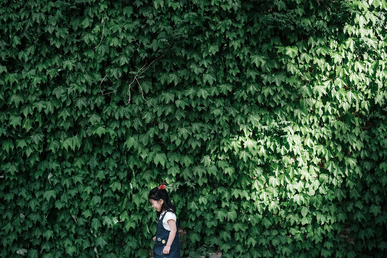 了不起的女孩电视剧，展现女性力量的佳作