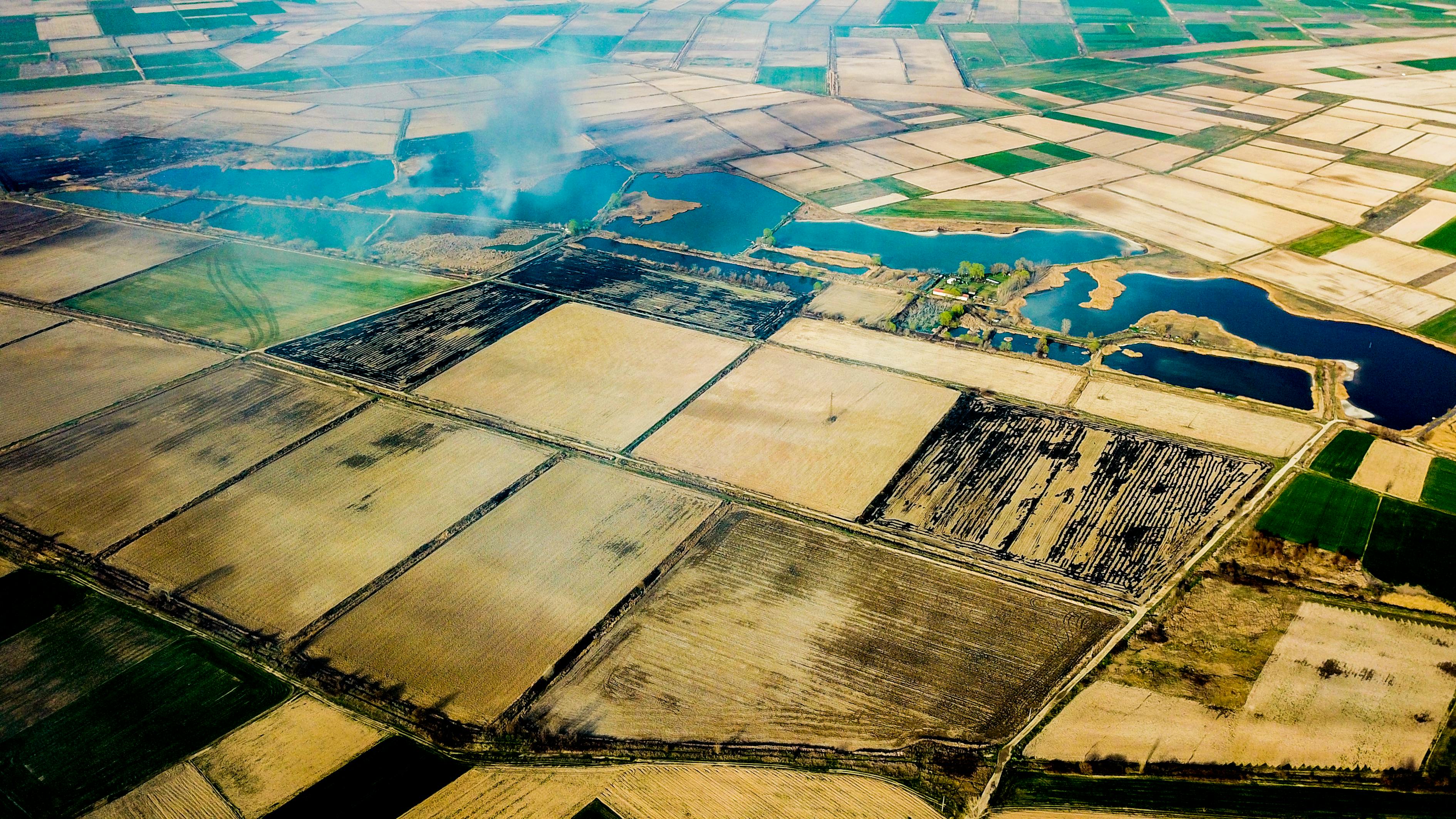 探究日本电影产业生态,裸电影背后的文化现象与产业探究