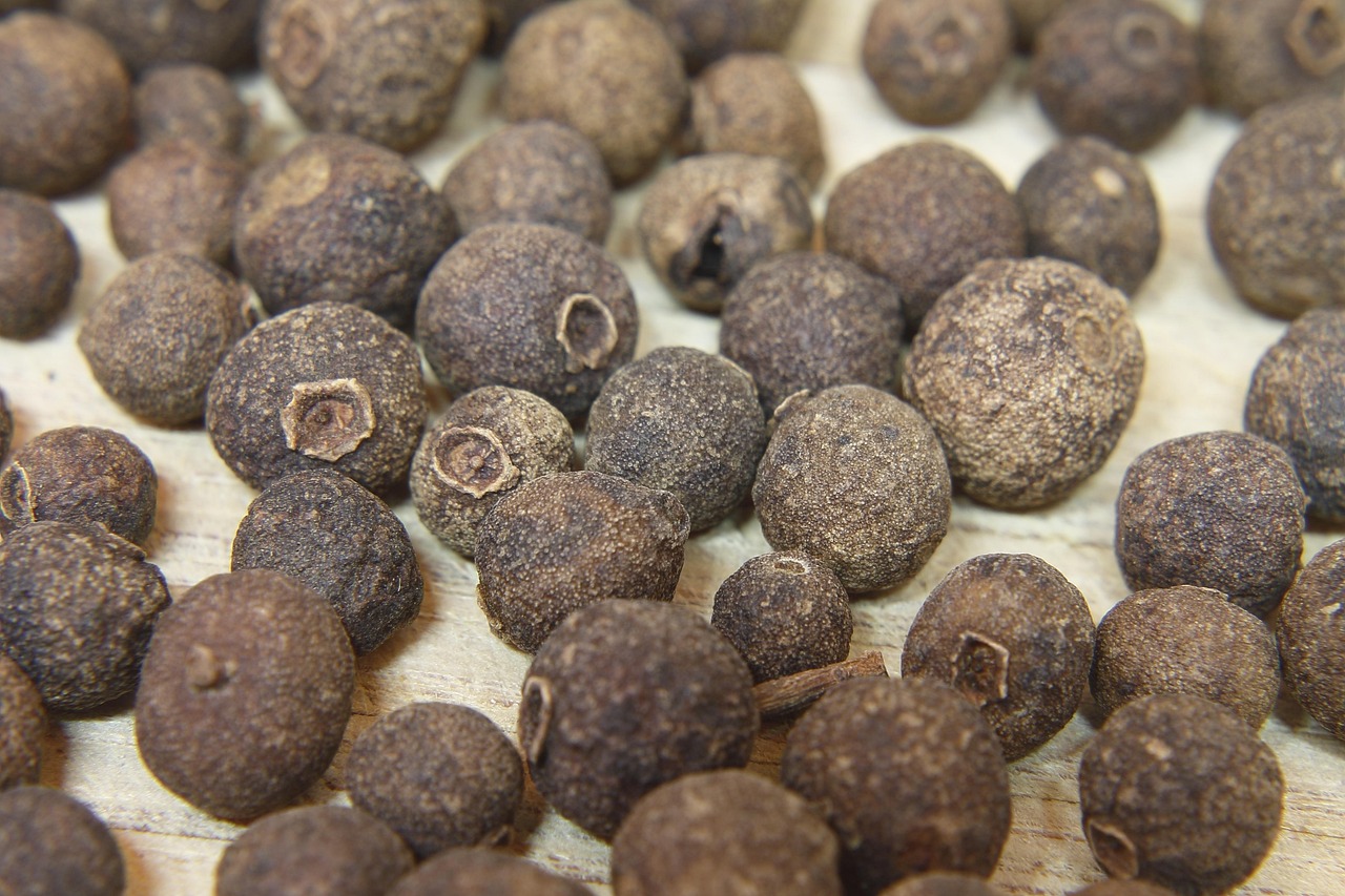 探索未知美味果实，枇杷新品种介绍