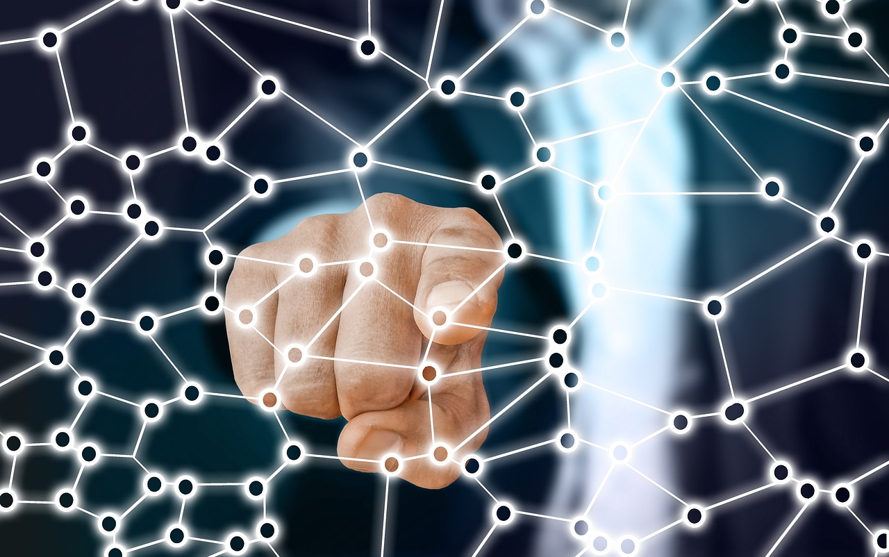 2017年蜈蚣市场行情分析