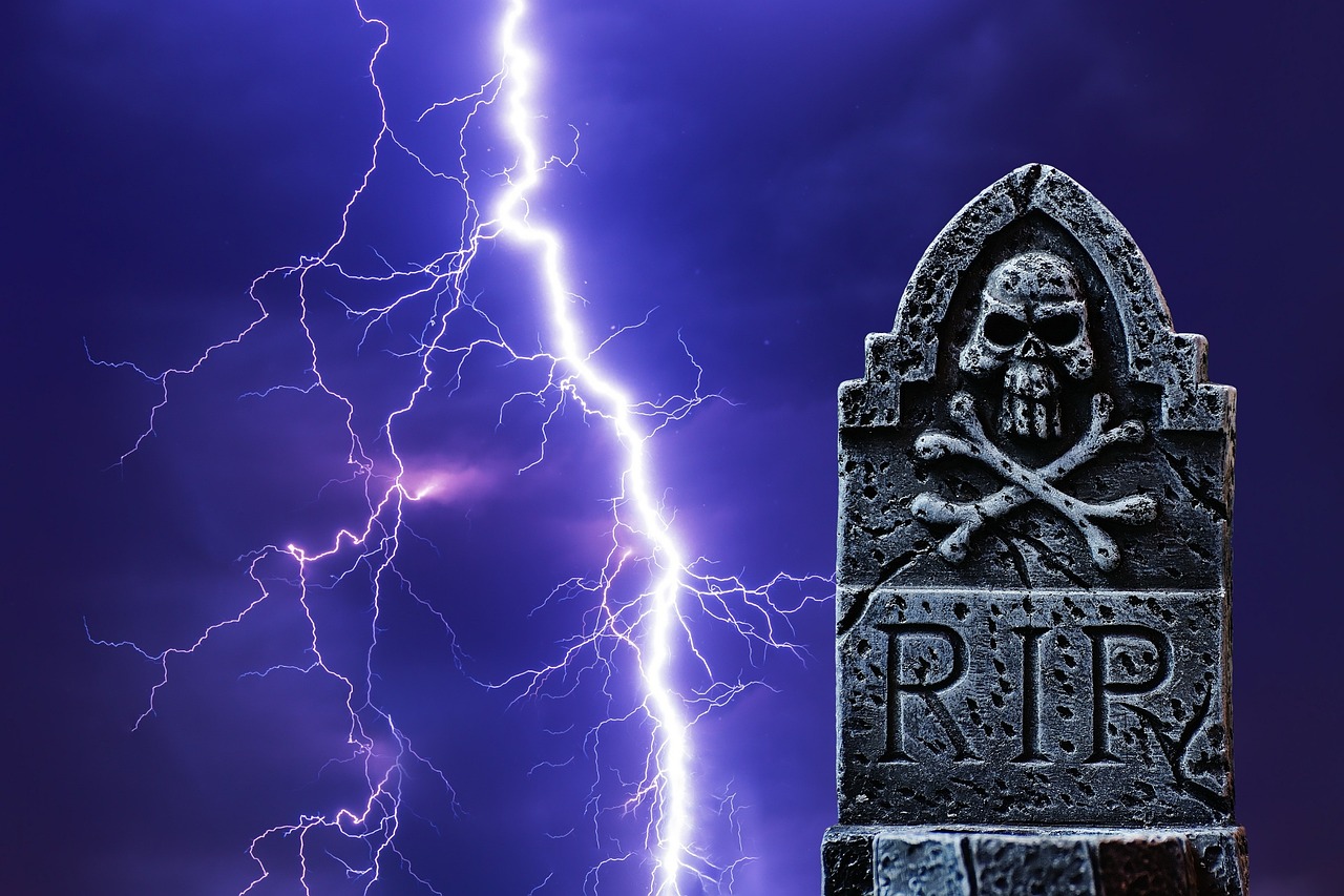 最新抒情歌曲的魅力与情感力量,激荡人心的情感力量与影响