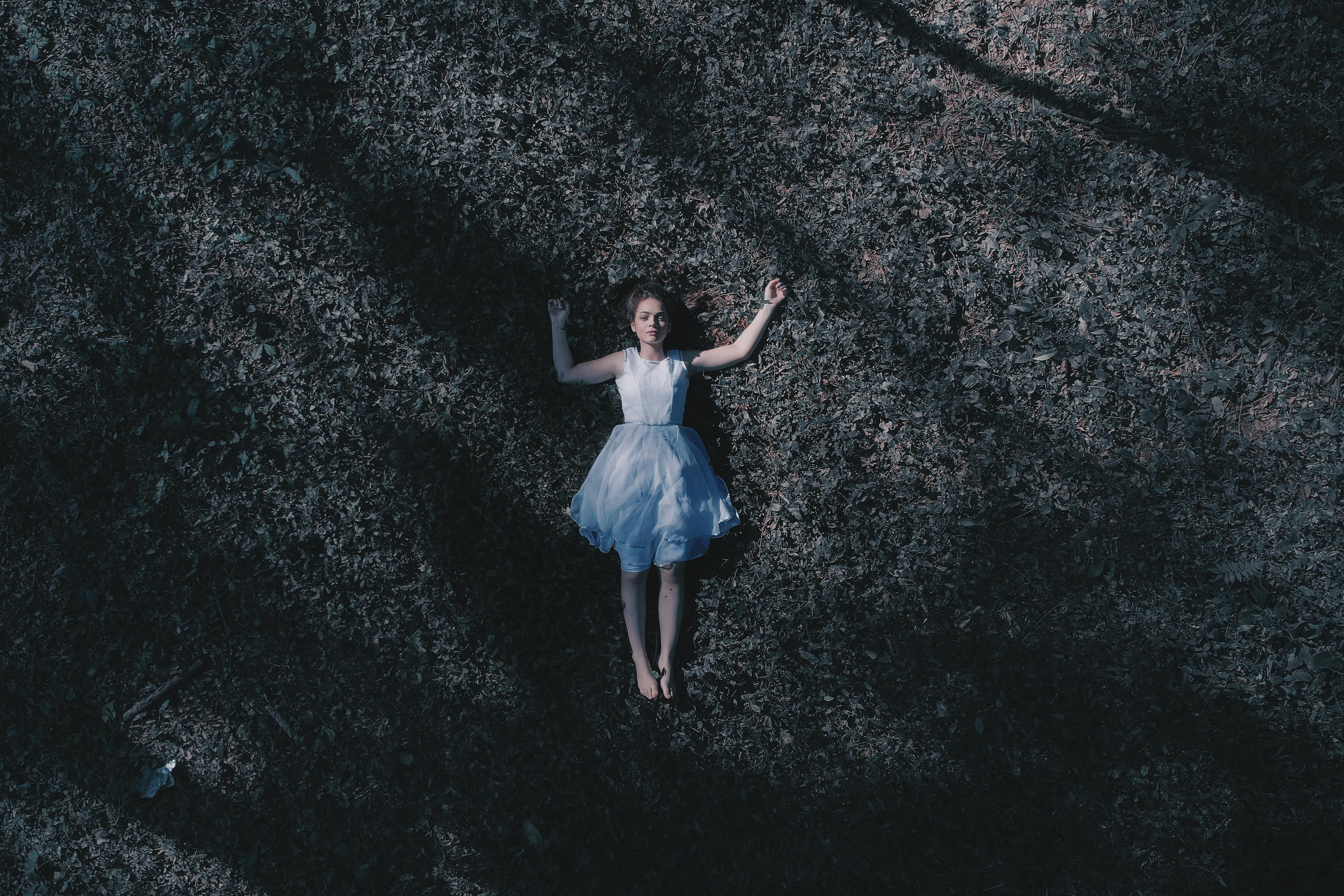 最新抒情歌曲的魅力与情感力量,激荡人心的情感力量与影响