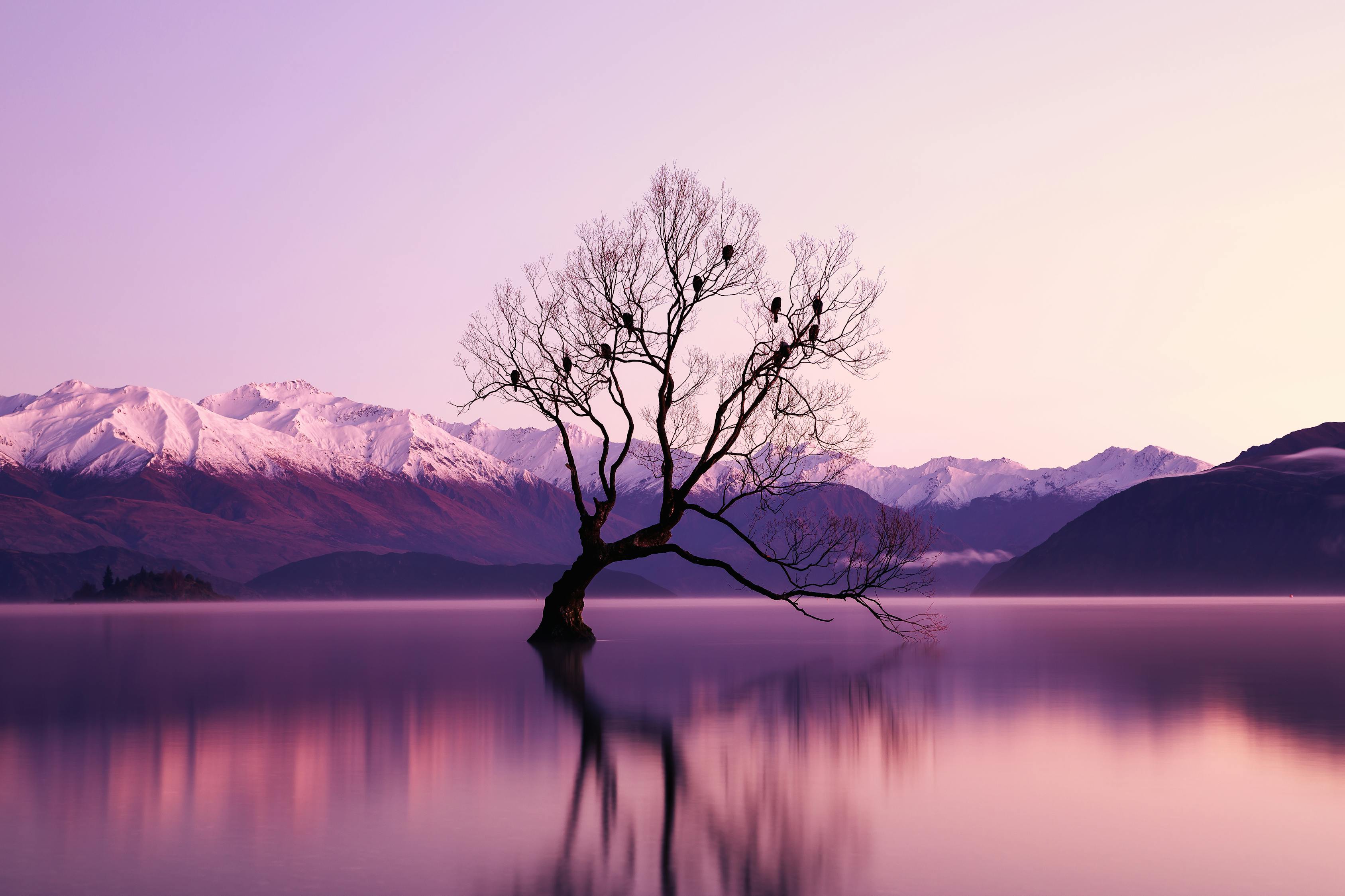 第二次人生,免费播放的电视剧,人生的重启与自我救赎之旅