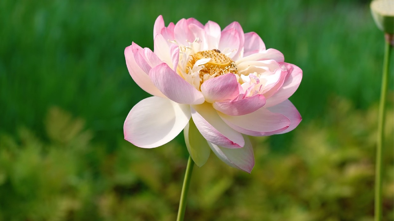 深华发A引领行业变革,塑造未来蓝图最新动态