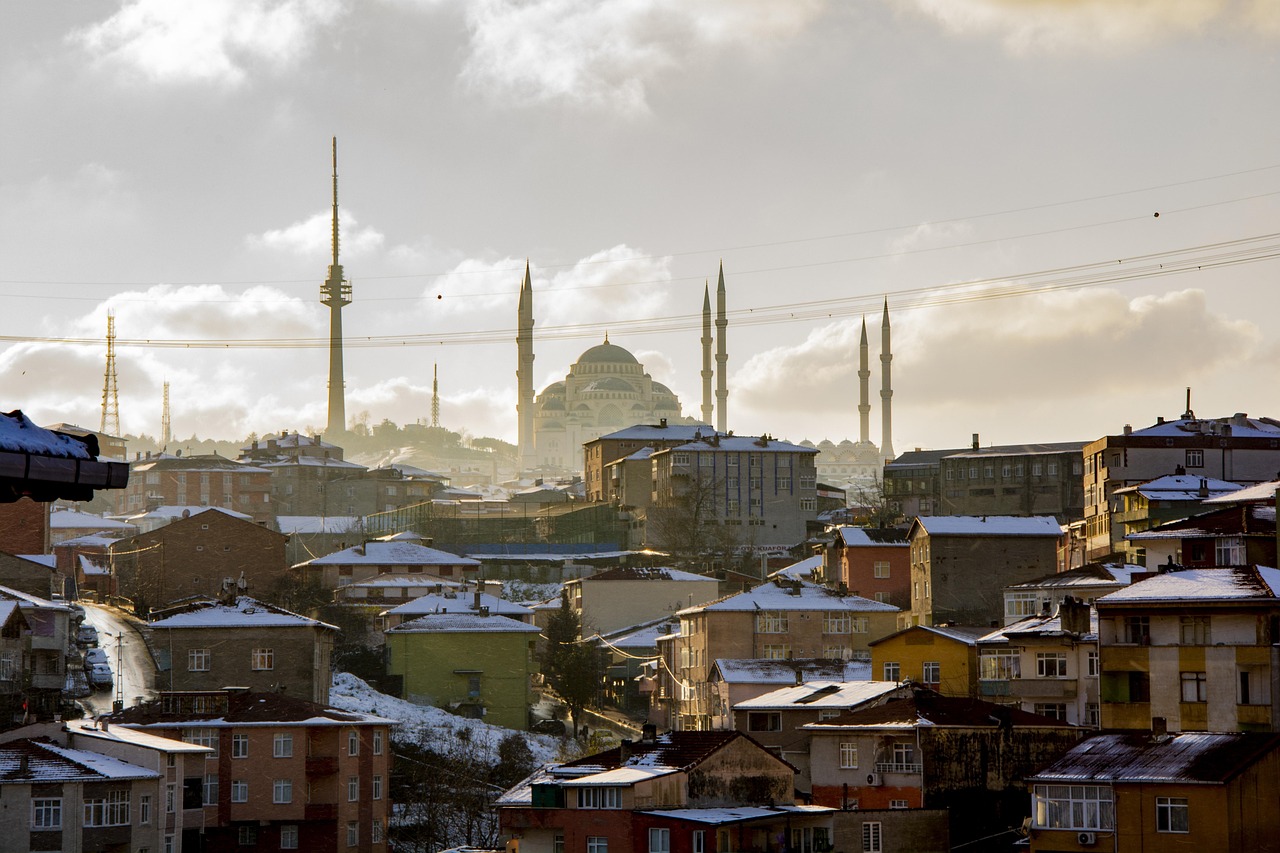 碧桂园银川最新动态,引领城市绿色发展的力量之源