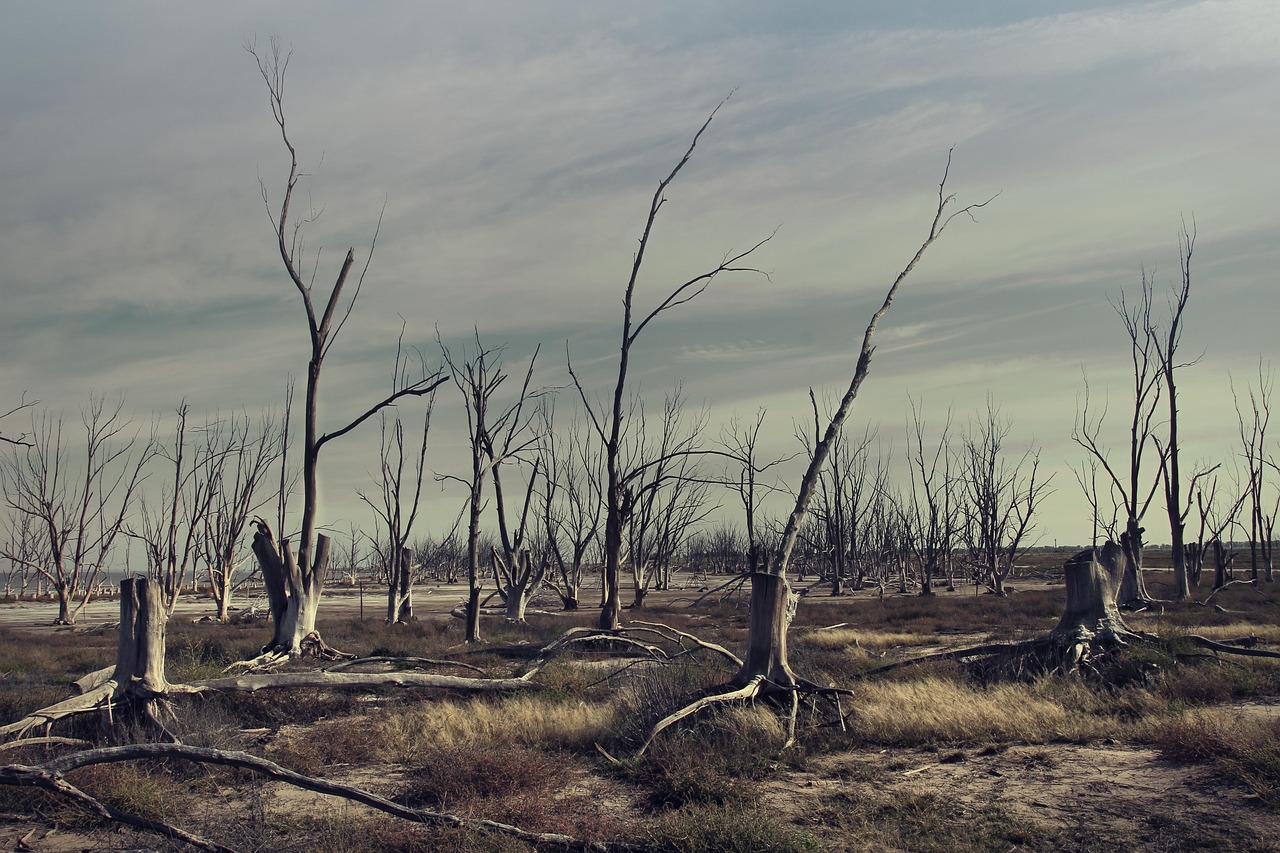 桃子姐的新动态,展现前行勇气与坚韧力量