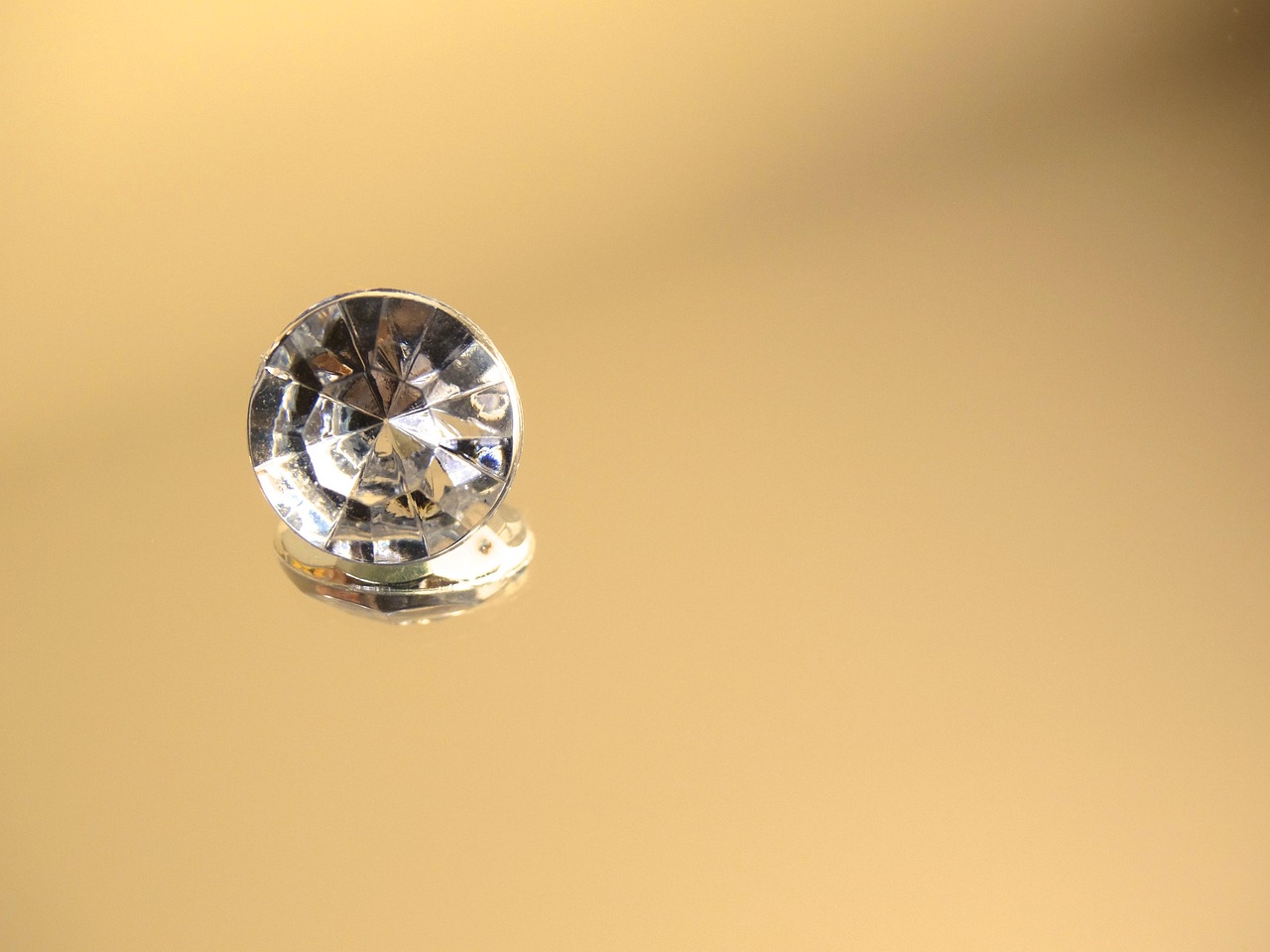 茂明星,闪耀光芒,展现无限可能