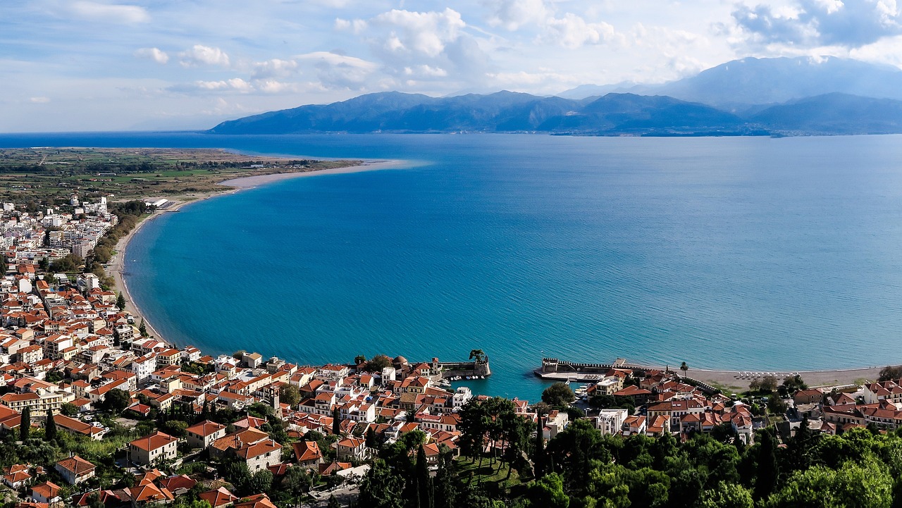 探寻东北野山参的价格与价值,市场动态与珍稀参品价值解析