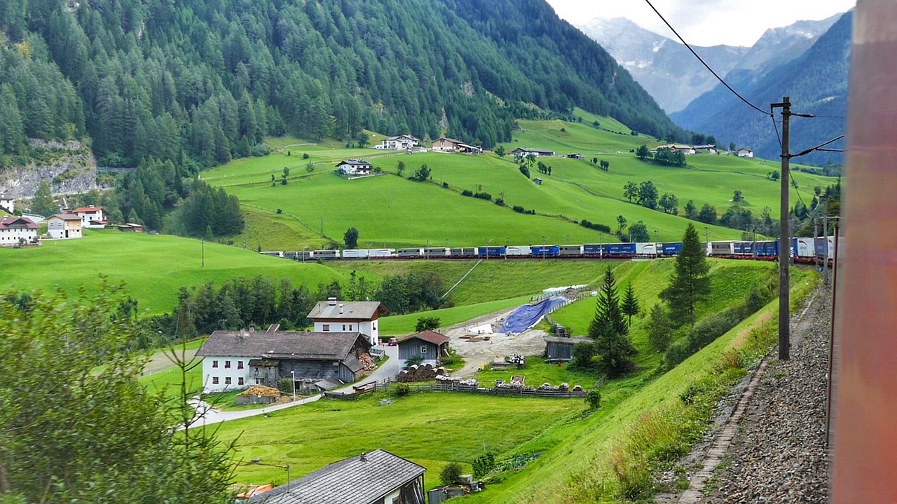 小草最新动态,绿色生态与科技融合的蓬勃未来展望