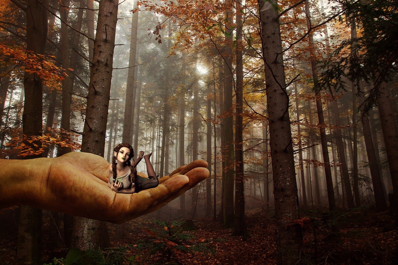 秘密花园电视剧,魔法花园与情感的交织之旅