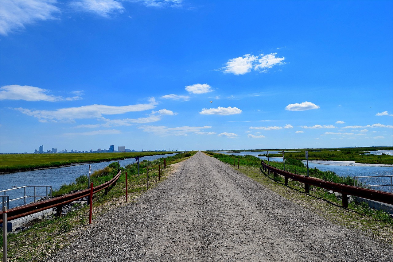 人生之路全集高清免费观看,探索人生旅程与情感深度