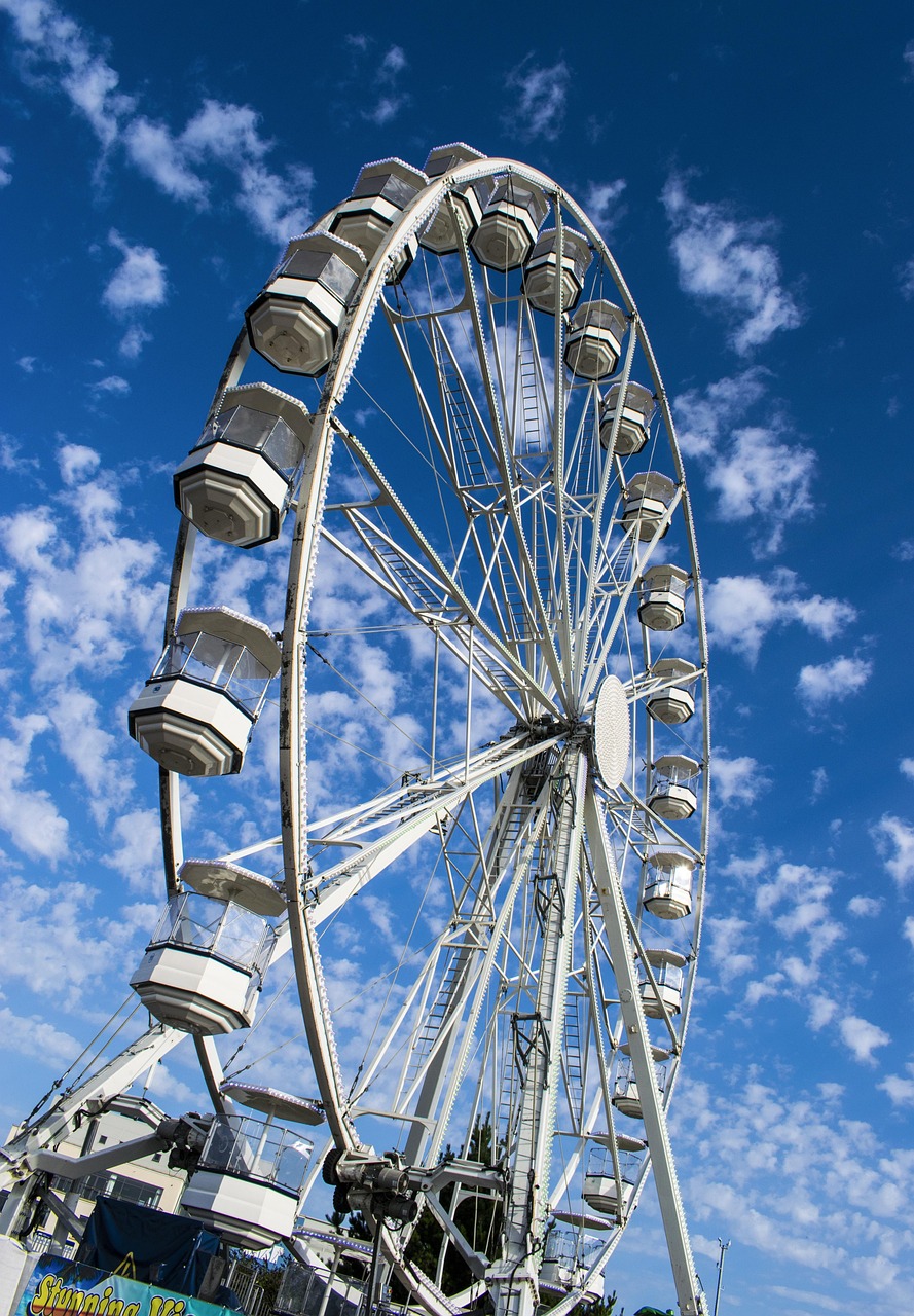 木绵绵最新,时尚风潮与艺术创新的融合