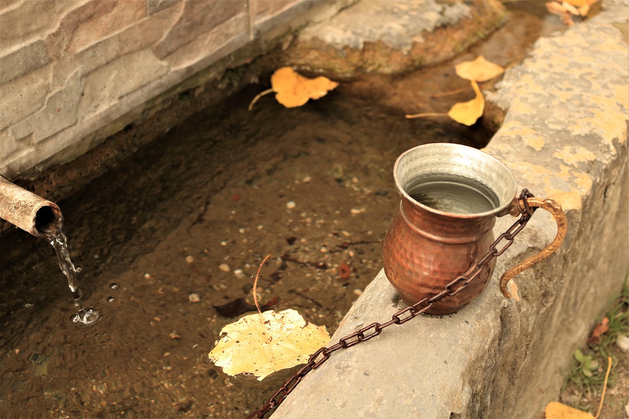 加多宝最新动态,引领健康饮品市场,开启新篇章