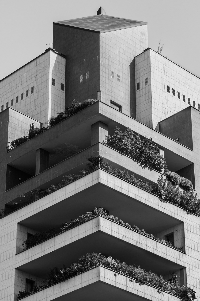 梁冠华最新动态,迈向新的艺术高峰之路