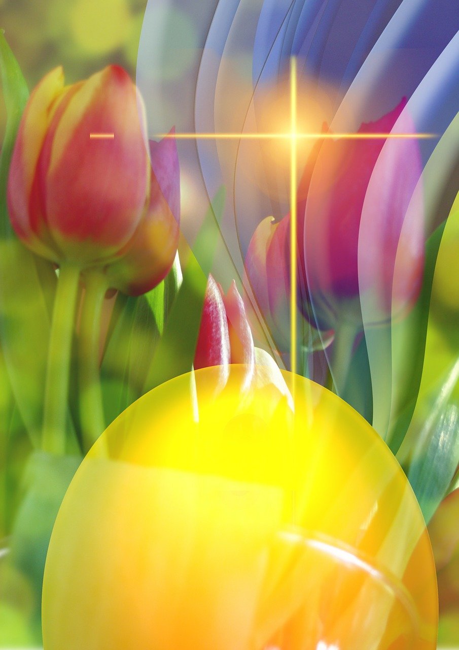 最新农村客运燃油补贴发放动态及分析简报