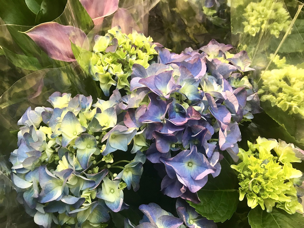 古装动漫头像女,美的瞬间与角色魅力展现