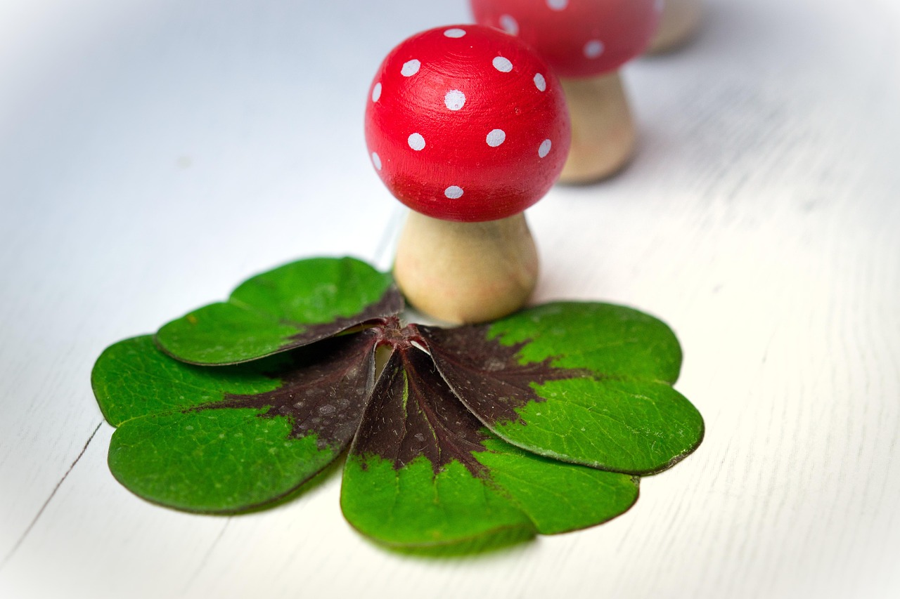 长益常高铁进展顺利,最新动态揭示未来展望令人期待