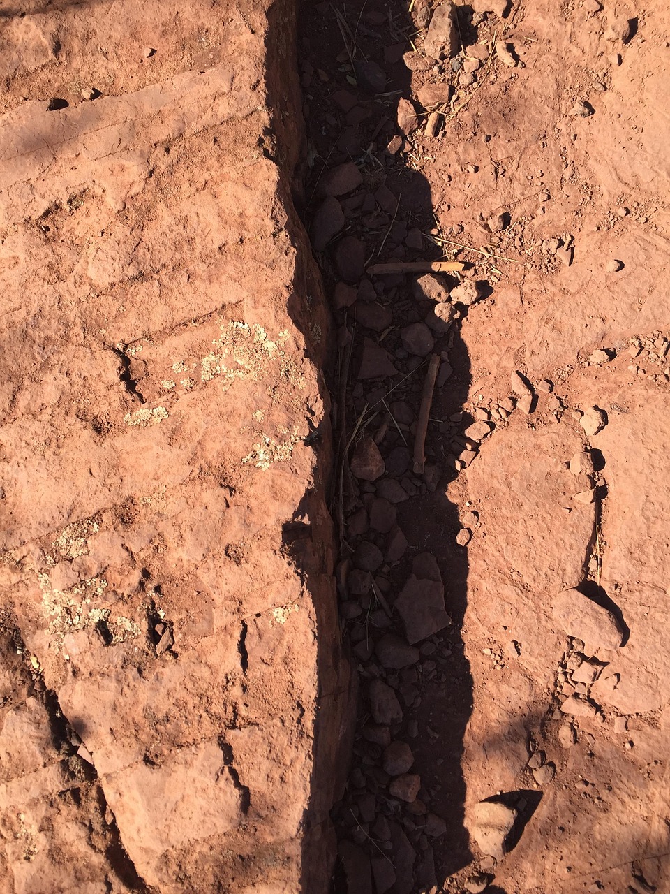 死亡岛2最新动态,期待与紧张交织的未来世界探索