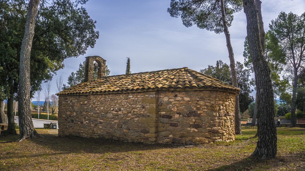 菏泽疫情动态更新,全面应对,共筑防线
