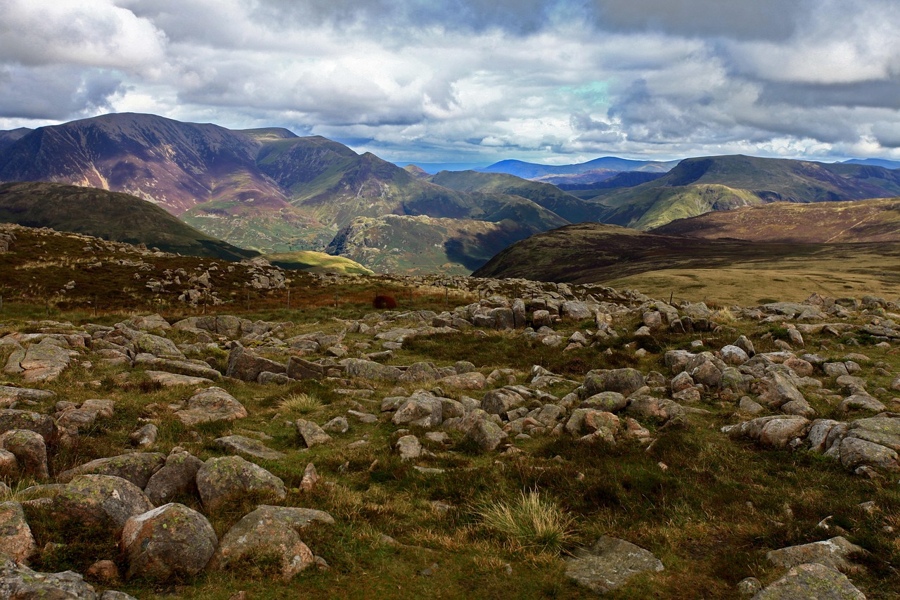 教主最新动态,新时代步伐的引领与启示