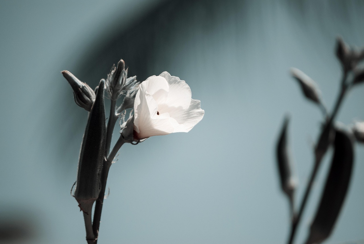 牟平地区最新招聘信息概览与招聘动态更新