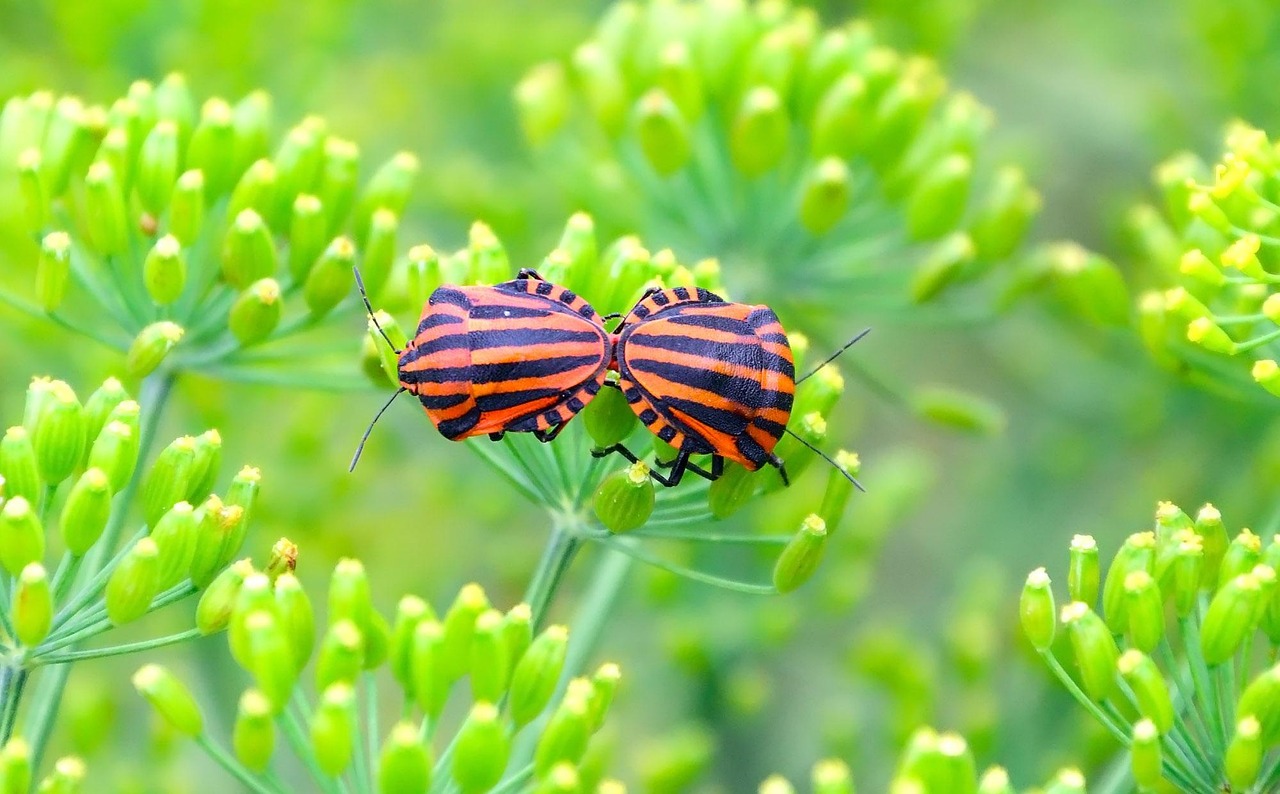 牟平地区最新招聘信息概览与招聘动态更新