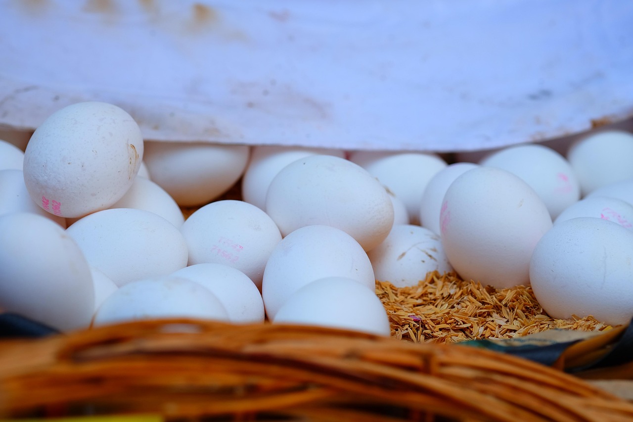 济阳最新房价动态,市场趋势、影响因素及未来展望分析