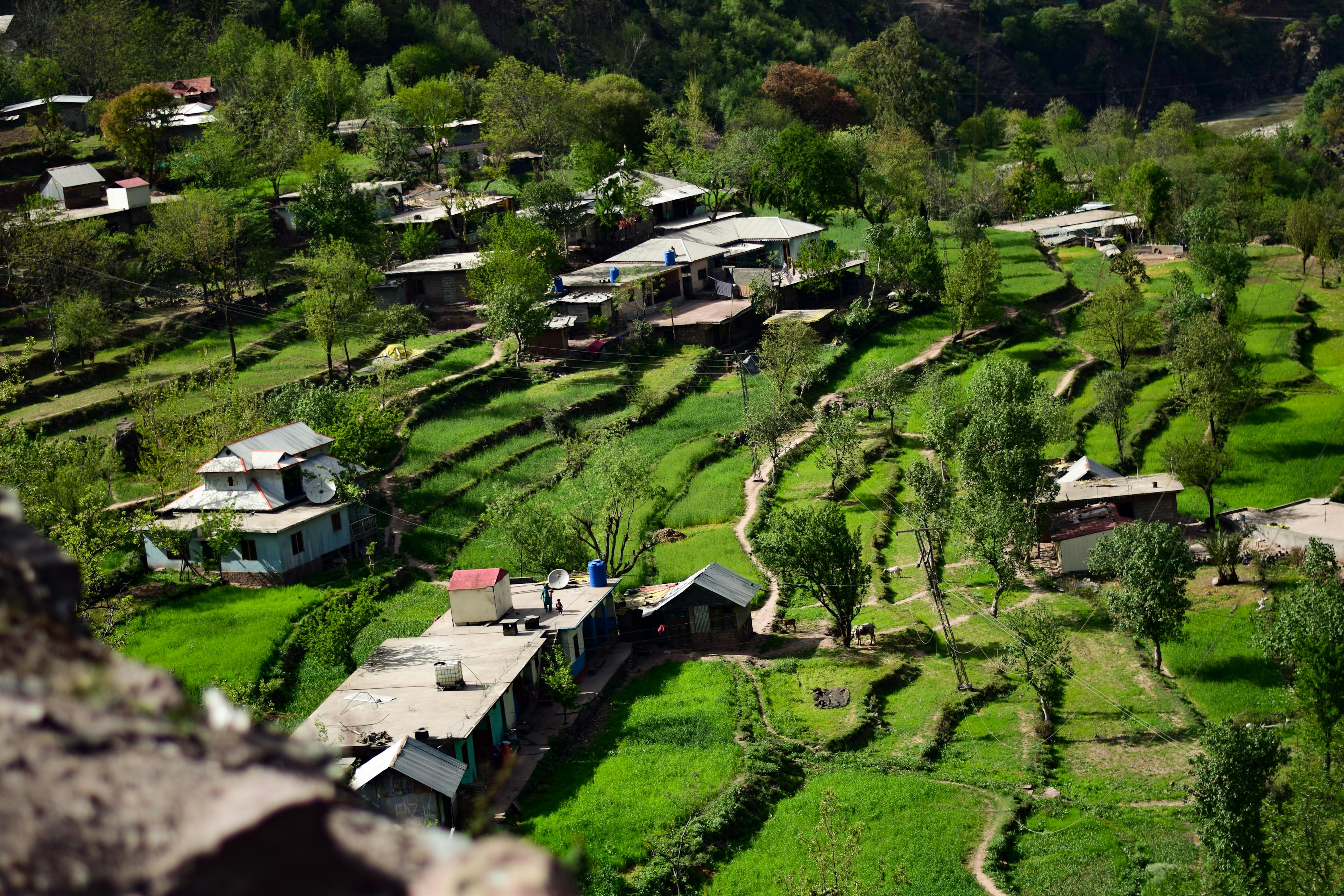 秋霞精选,自然之美与艺术之韵的交融荟萃