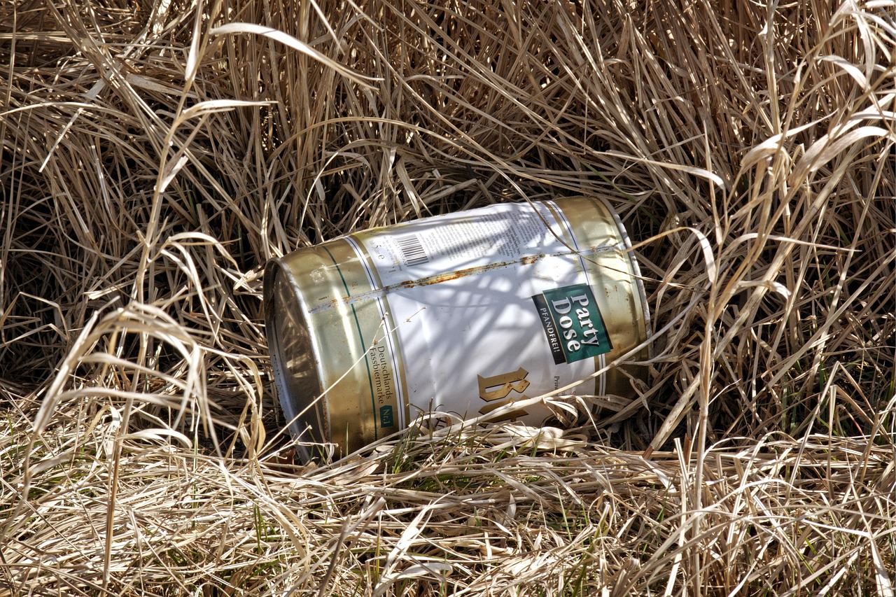 蒙阴新闻今日快讯,县域发展新动态与社会热点解析速递