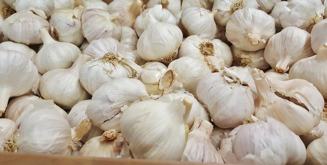 山东大蒜最新价格行情及分析