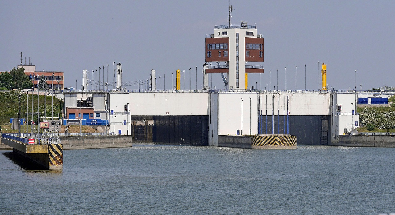 新型加米设备引领粮食加工行业迈入新纪元