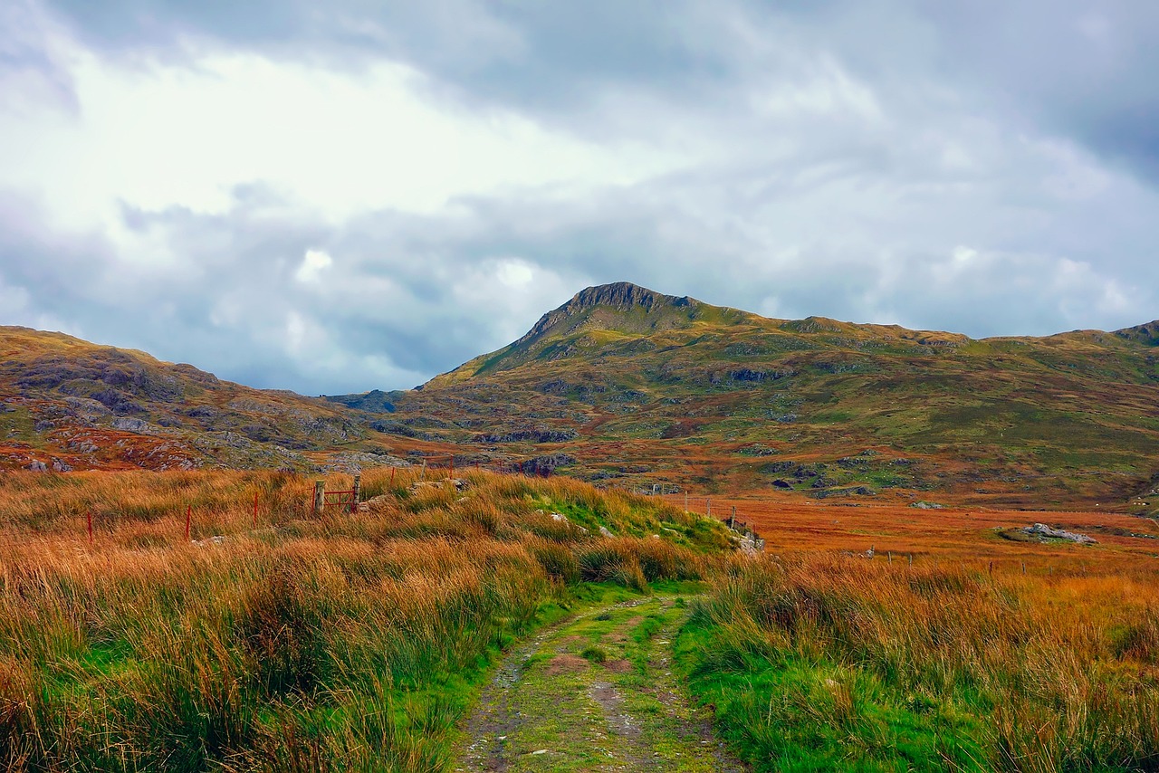 广西最新资讯,蓬勃发展中的壮美大地