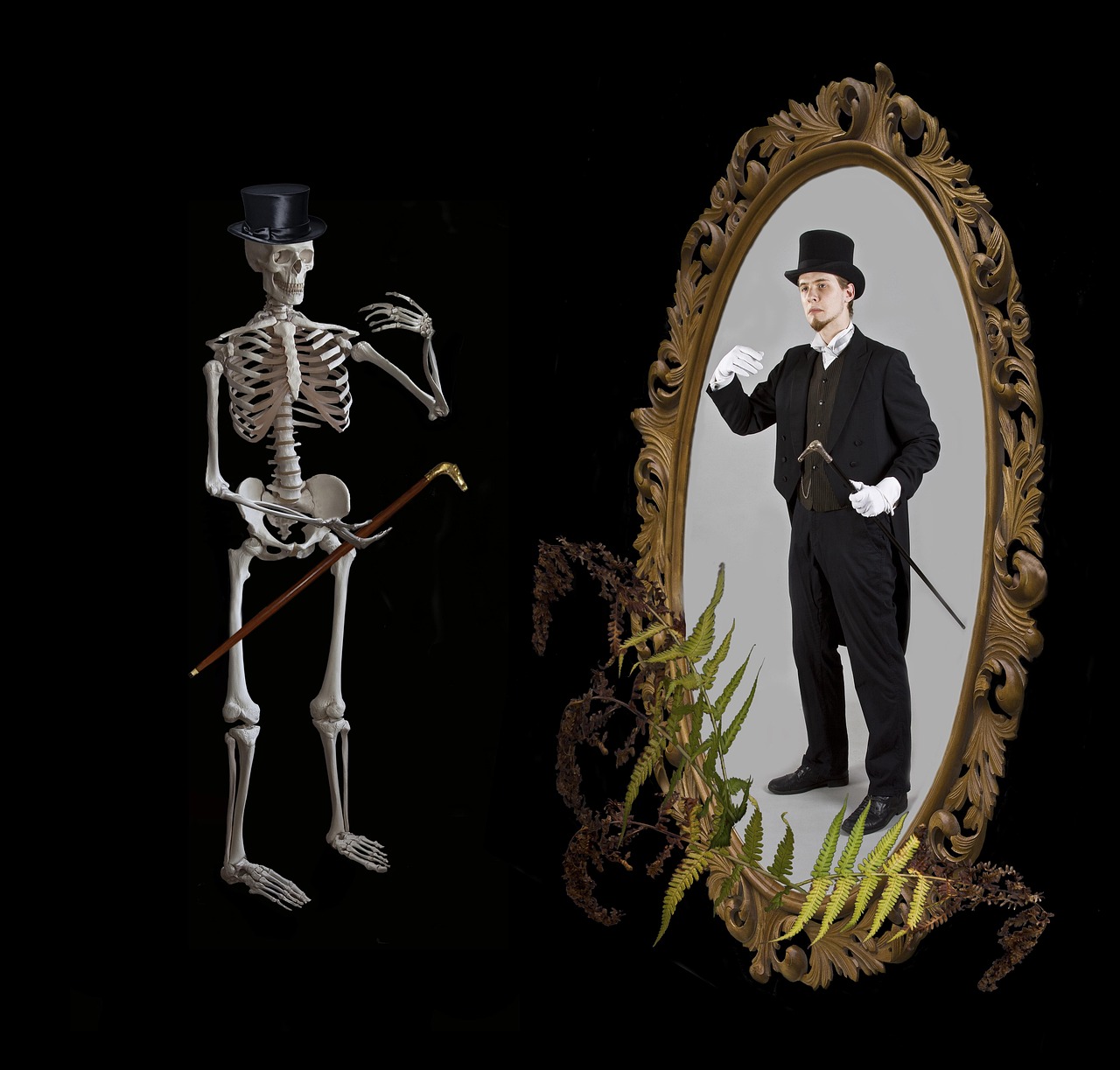 最新漫画资讯,揭开未知世界的神秘面纱