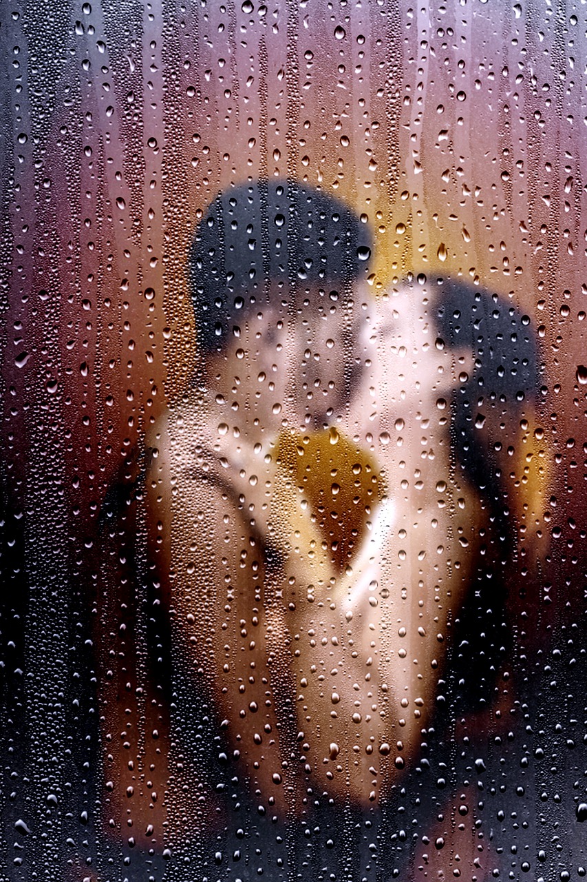 山东棉花市场价格探析与动态研究