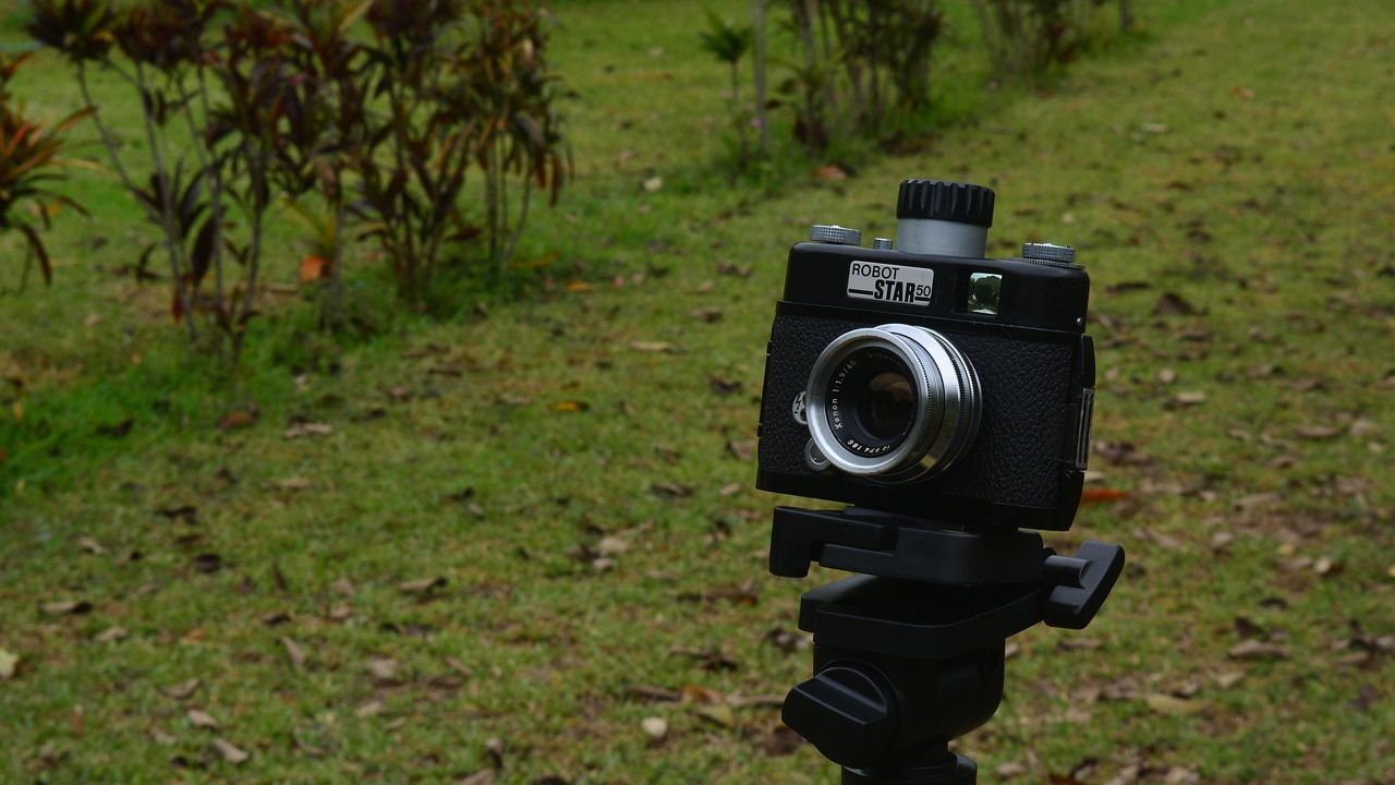 武清润泽尚苑最新价格动态及行情分析