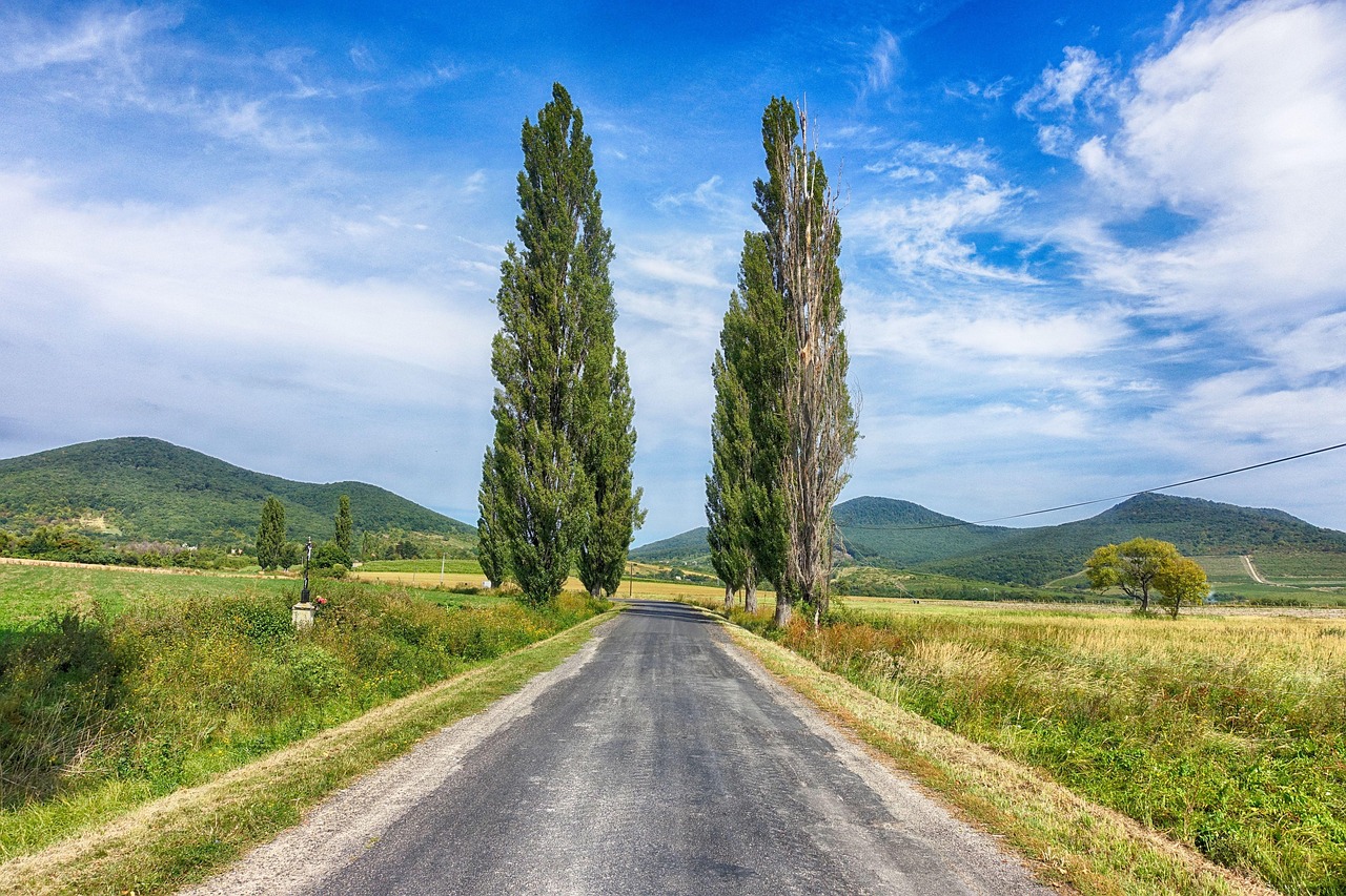 凤凰沟资讯深度解读新时代区域发展动态