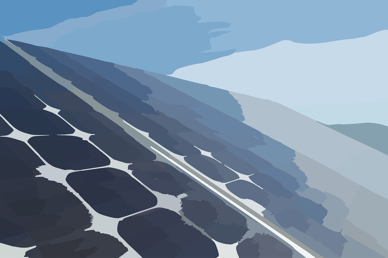 管湾国家湿地公园最新动态,生态保护与可持续发展的实践探索