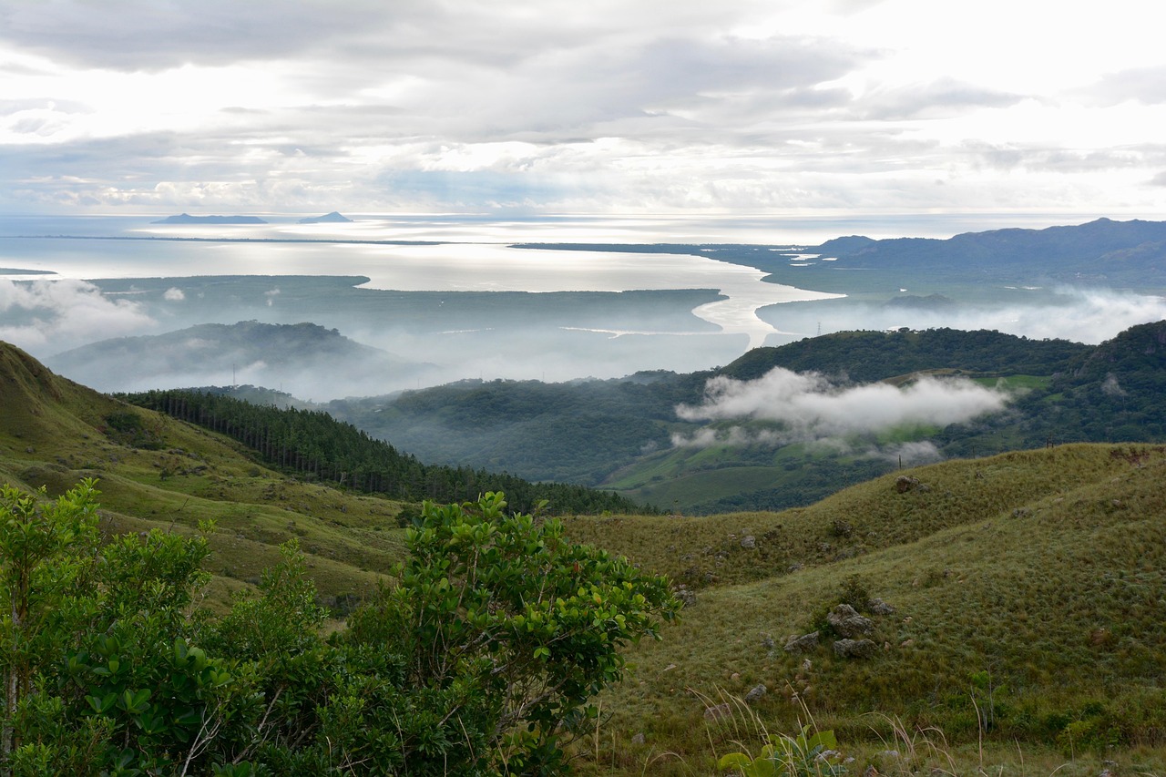 洞悉市场动态的关键工具,各地市场行情地图全面解读