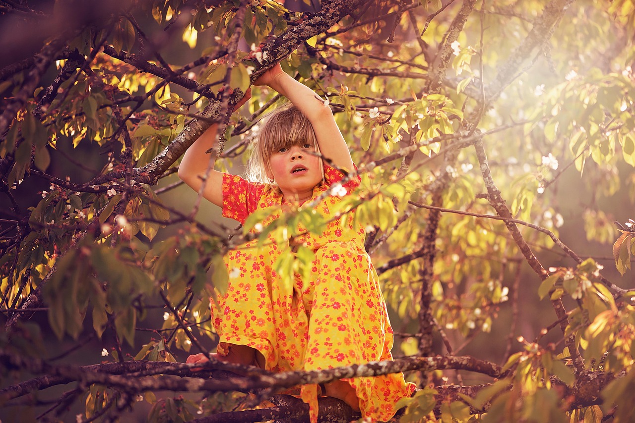 探寻与赏析,电视剧中的女孩名字