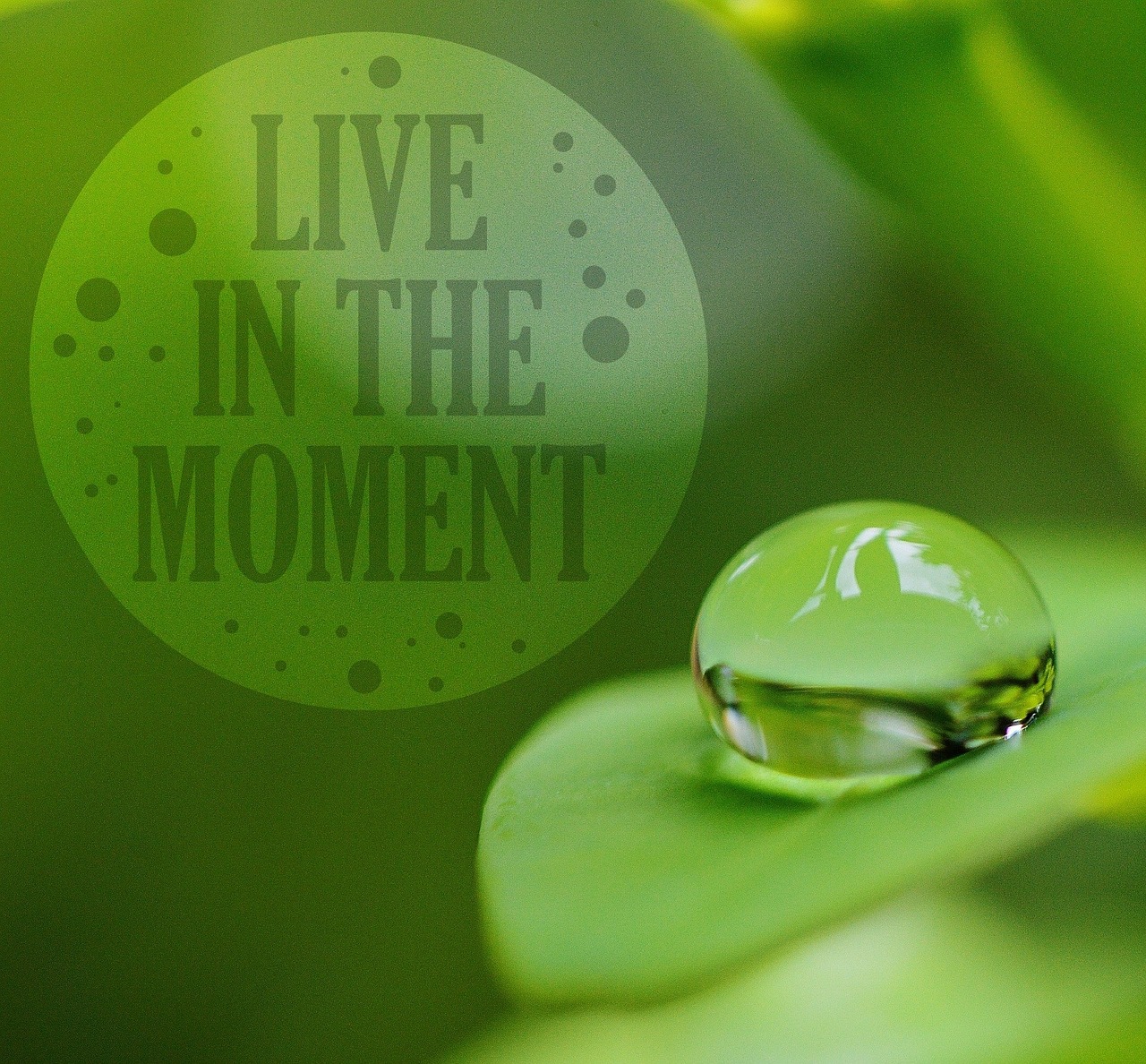 引领潮流时尚元素,提升生活品质的精选之选