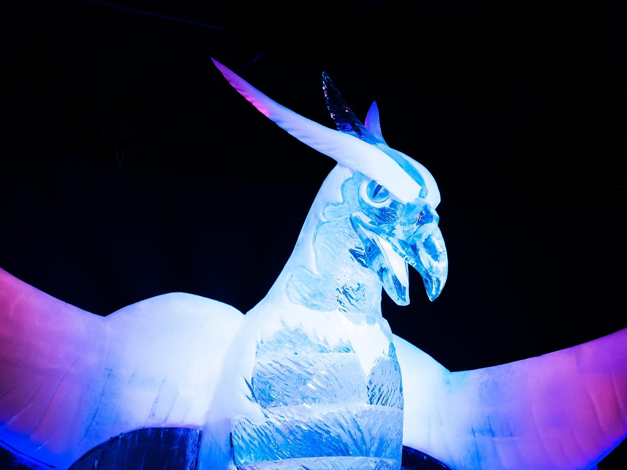 杨先生引领时代潮流,展现新动态非凡风采