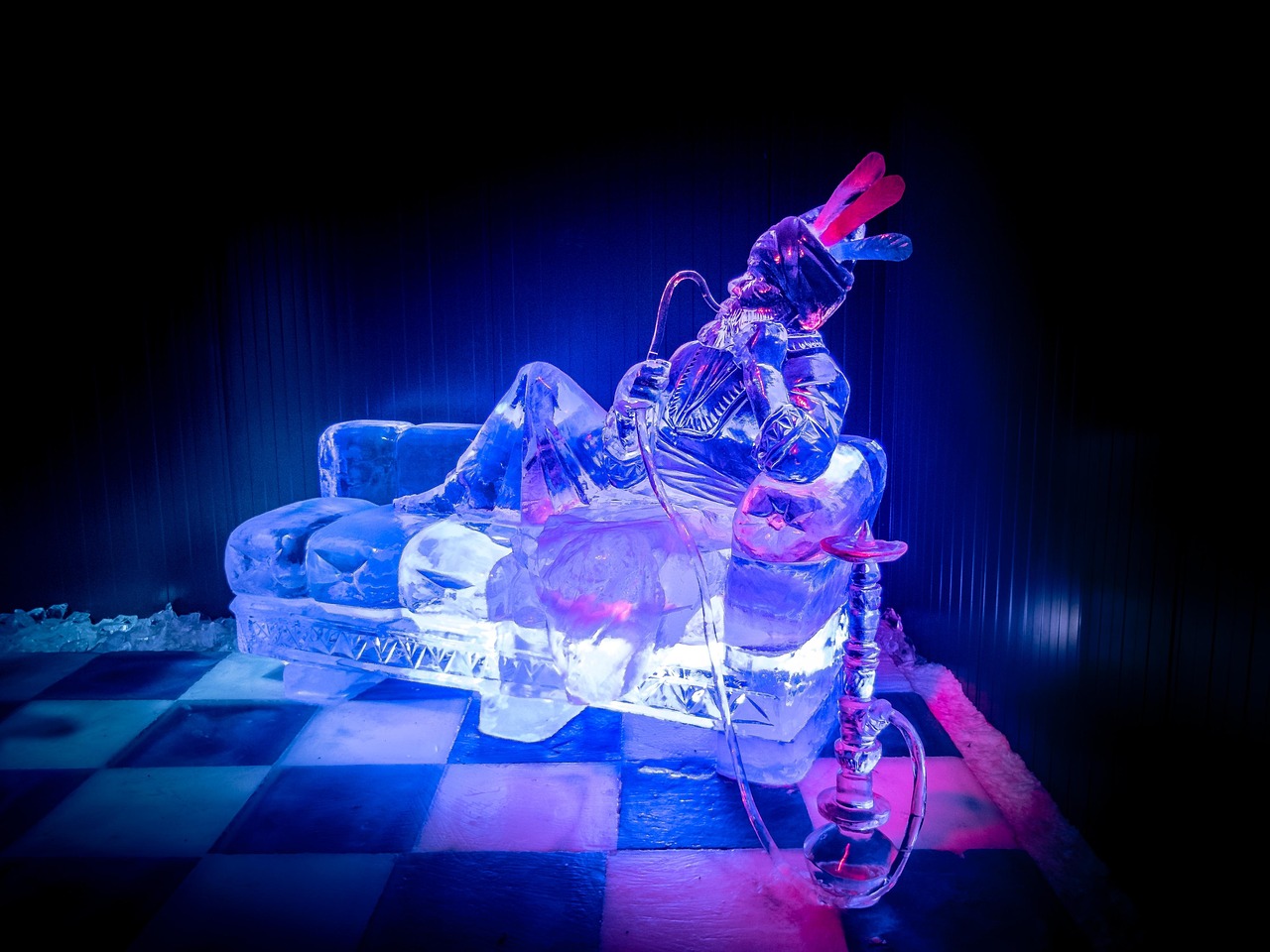 杨先生引领时代潮流,展现新动态非凡风采