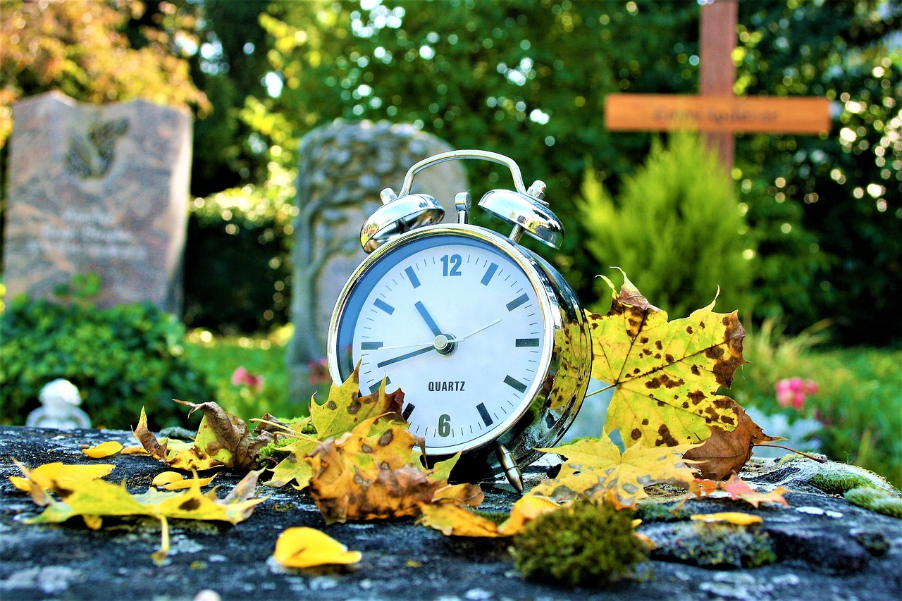 黄动漫下载,探索与反思的旅程