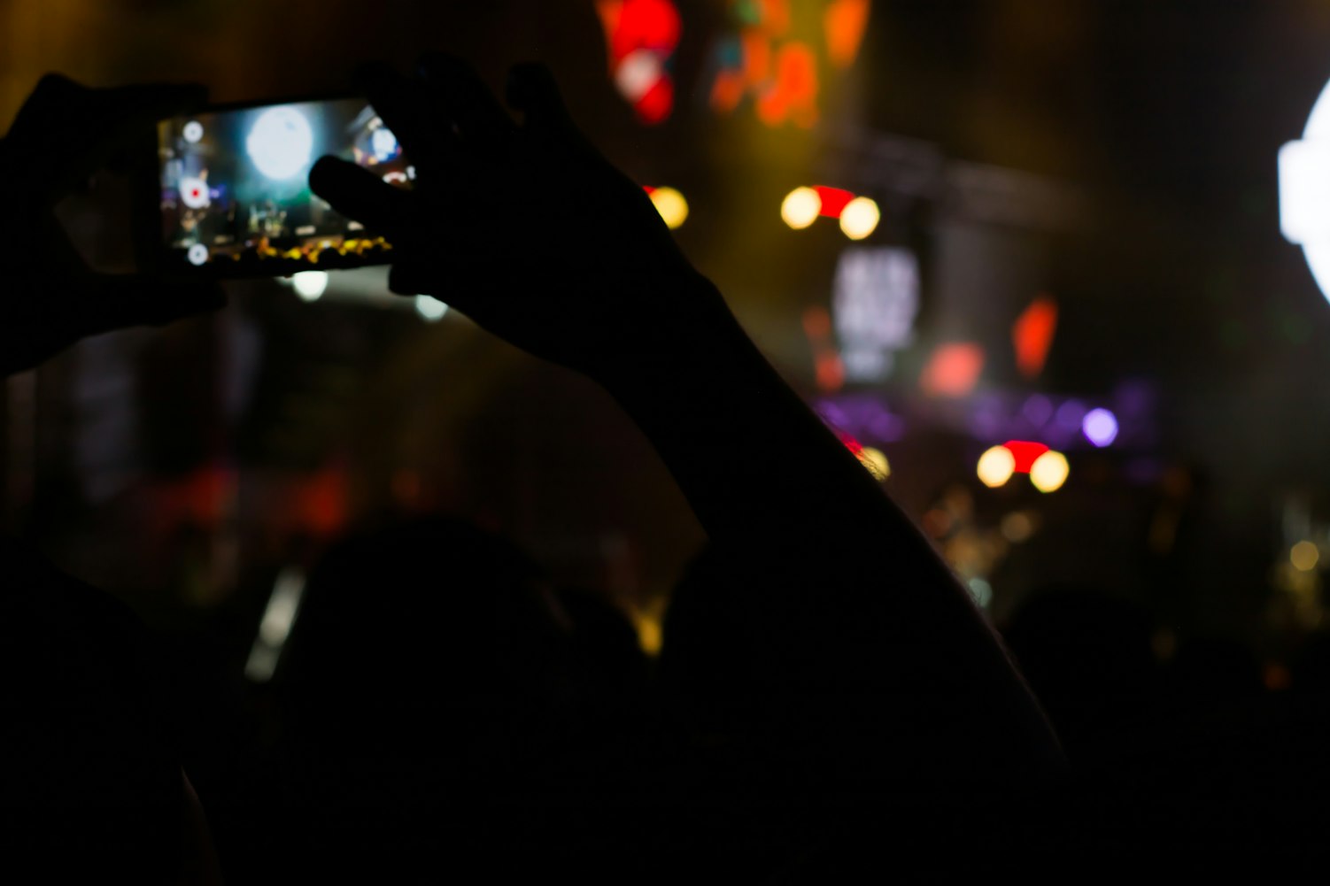 加州靡情,情感、欲望与梦想的碰撞