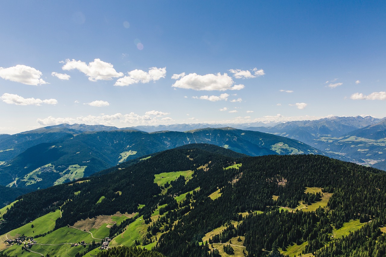 江苏一流大学最新动态概览